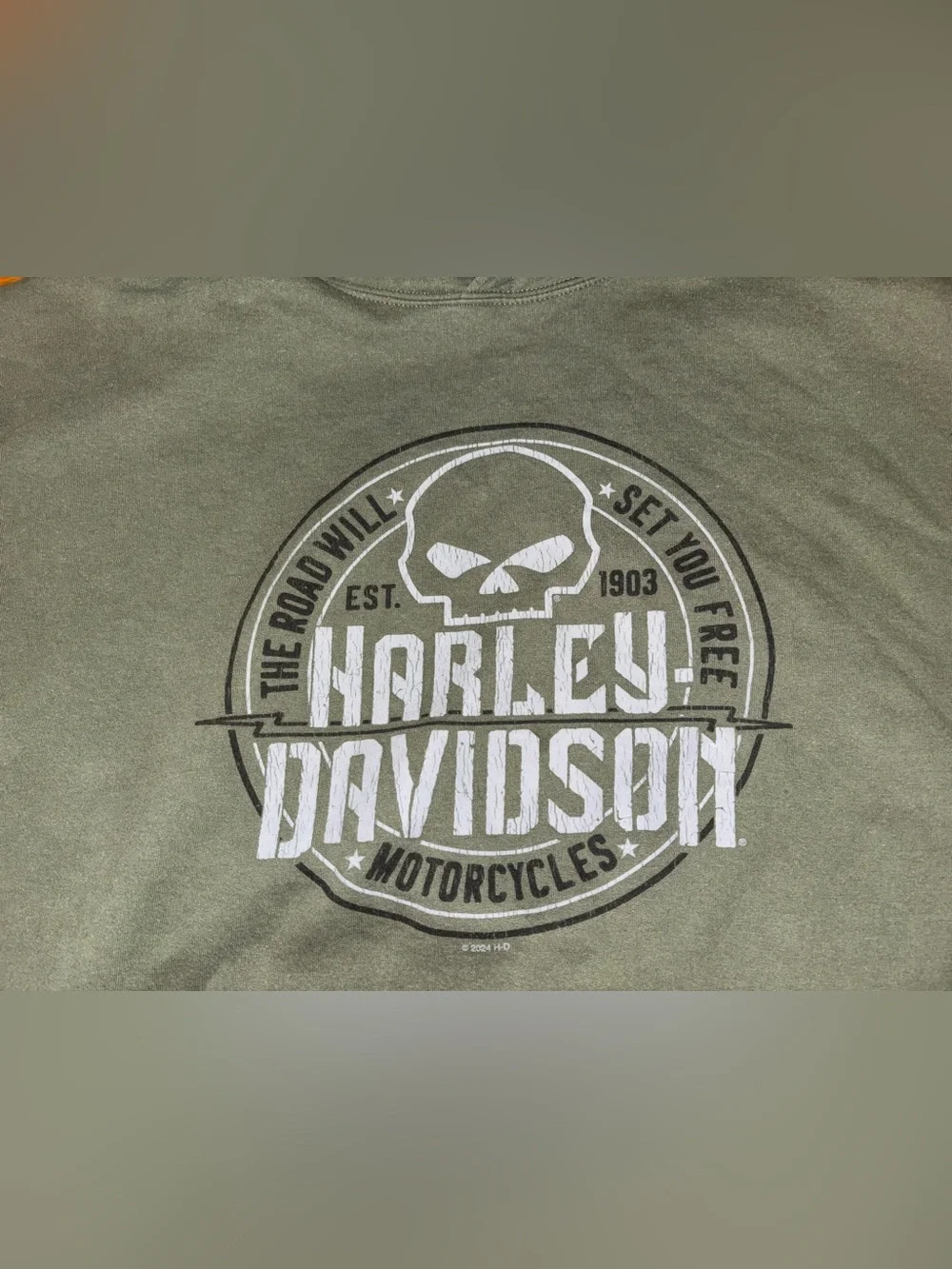 Harley-Davidson Green Pullover Hoodie Logo Graphic Print Pockets Mens 3XL